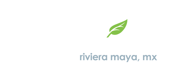 Cuidad Mayakoba