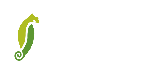 El Camaléon